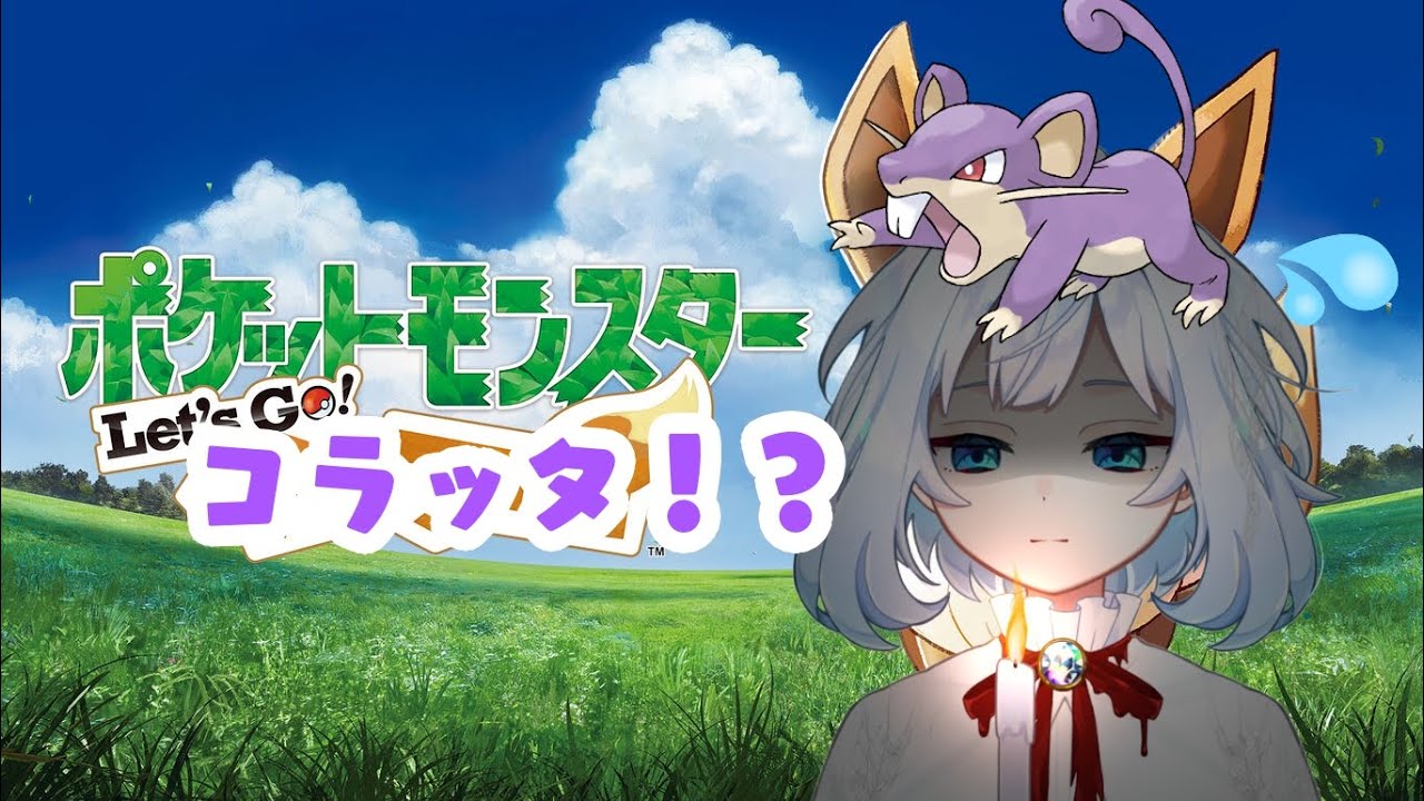 ポケモン修行！！自分の相棒は・・・コラッタ！？