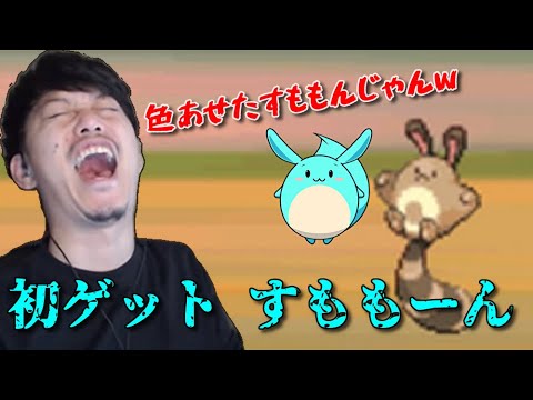 布団ちゃん初めての捕獲 すももーんとの出会い　2022/04/23