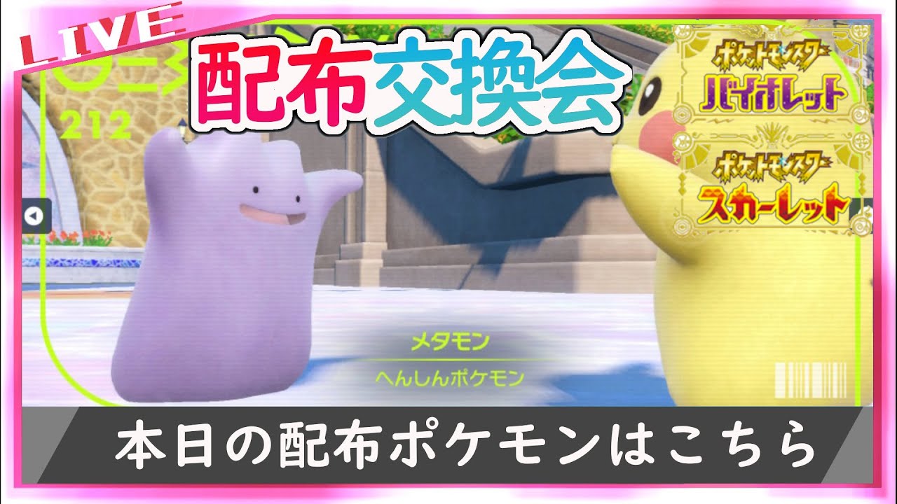 【ポケモンSV】海外ずぶとい6Vメタモン配布【ヒスイゾロア厳選に】