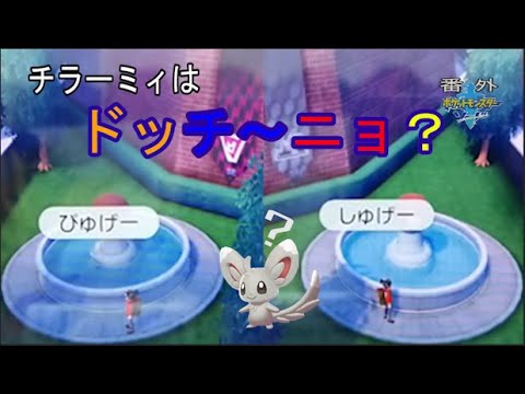 「チラーミィを探せ！少年の大きな願いを叶えるために！！」ポケットモンスターソード実況動画_番外編