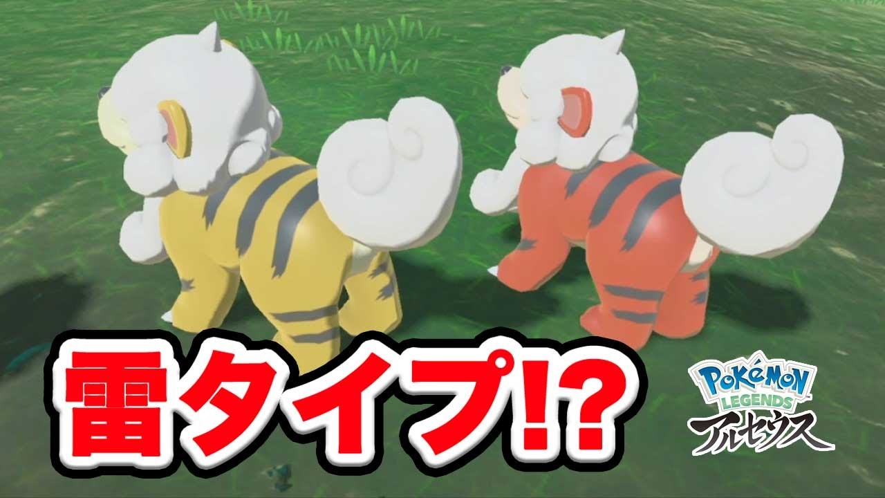 ヒスイガーディ色違い！この犬可愛すぎるぞ...【ポケモンレジェンズアルセウス/Pokémon LEGENDS女性実況】
