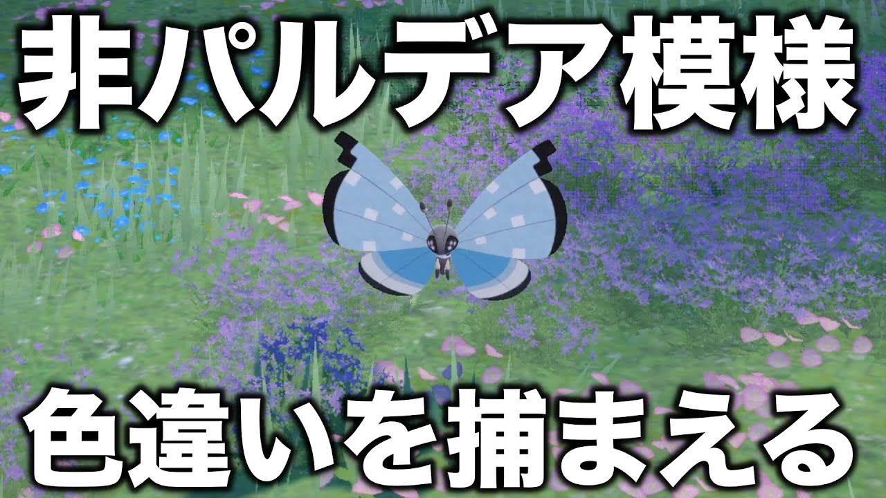【厳選】非パルデア模様のビビヨンの色違いを捕まえる！1時間半以内に捕まえないと消えるから絶対出す！【ポケモンSV/スカバイ】