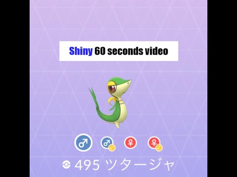 【Pokémon GO】色違い 出現60秒動画 ＃495 ツタージャ ☆shiny☆#Shorts