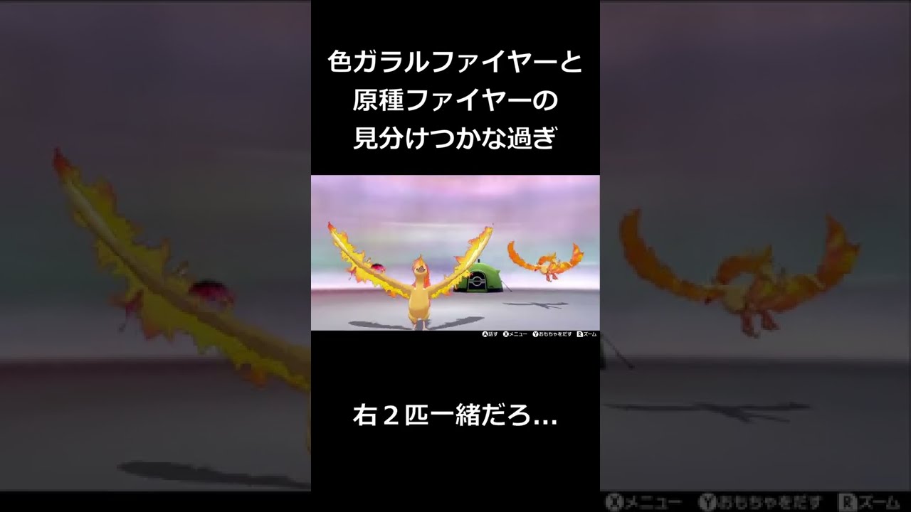 色違いガラルファイヤーと原種ファイヤーの見分けつかな過ぎ【ポケモン剣盾】