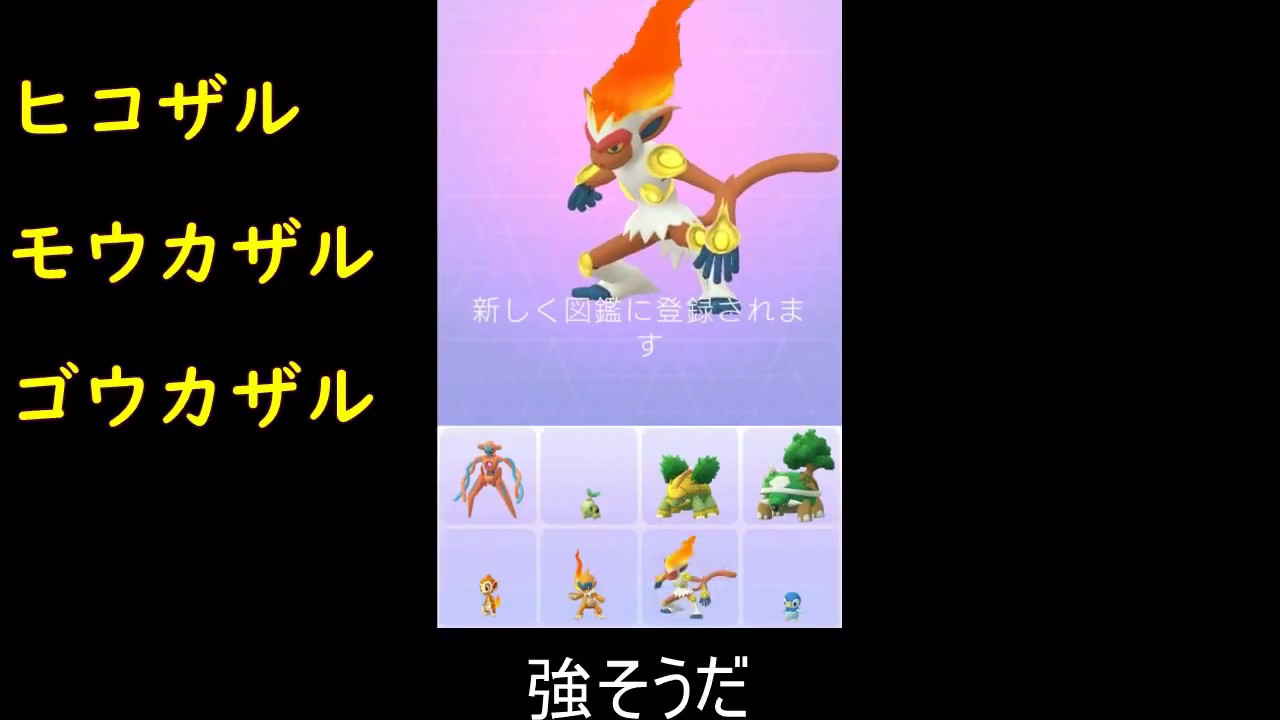 ヒコザル進化モウカザル進化ゴウカザル【ポケモンGO】