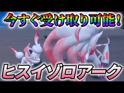 【ポケモンsv 公式配布】新たに登場！ヒスイゾロア・ヒスイゾロークの受け取り方法をご紹介！