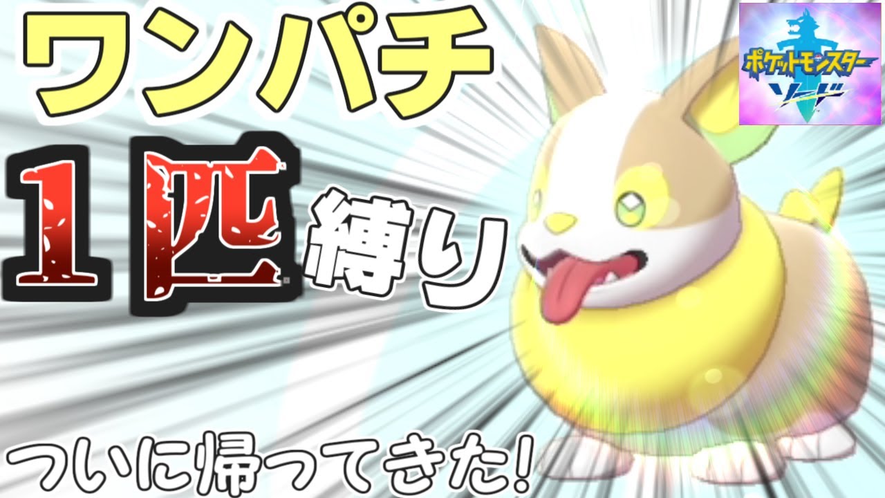 【実況】ワンパチ強すぎてビビった…(?)ワンパチ１匹だけでクリア!!【ポケモンソード】#10