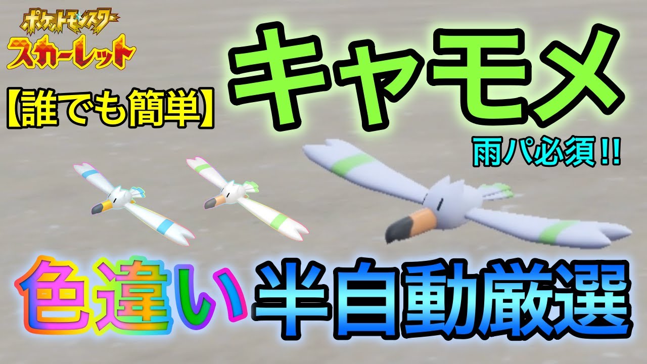 【誰でも簡単】キャモメ(ペリッパー)の半自動色違い厳選方法をご紹介 ランクバトルで活躍　大量発生とピクニックリセットは必要なし 【ポケモンSV】