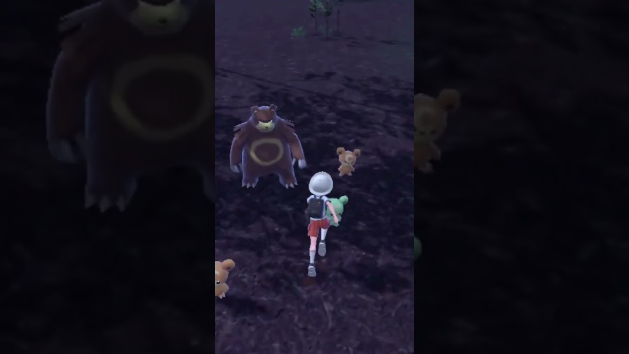 【ポケモンSV】色違い図鑑埋め企画 進捗報告 ヒメグマ編 #shorts