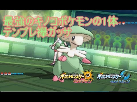 【ポケモンUSUM】メガクチートを喰らえ！最強のキノコポケモンの１体！　テンプレ襷ガッサ【ウルトラサン/ウルトラムーン】