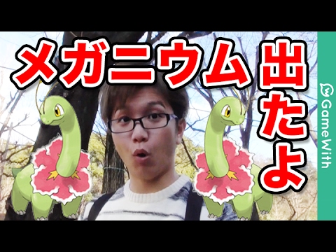 【ポケモンGO】えっメガニウム出ちゃった！！頼むから逃げないでー！【Pokemon GO】