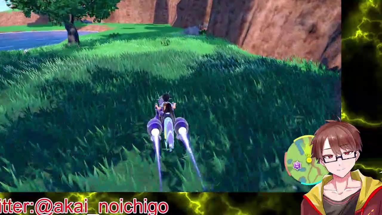 【ルクシオ6匹】くさわけ集められん【ポケモンSV】