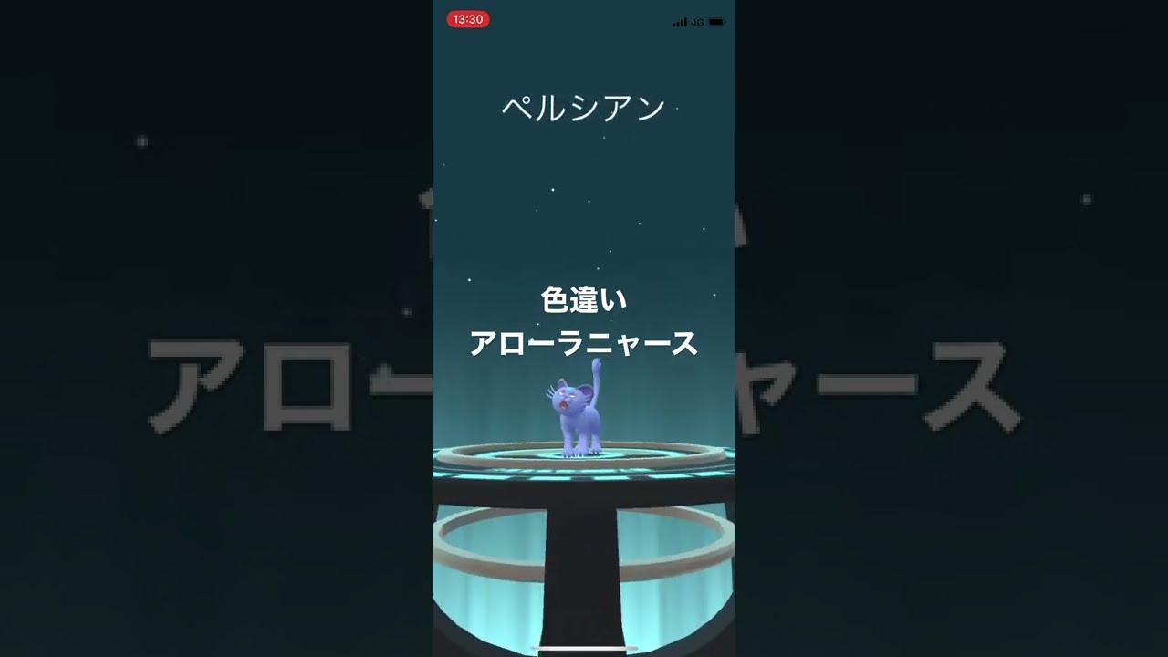 ポケモンGO 色違いアローラニャース出現！色違いアローラペルシアンへ進化！個体値確認