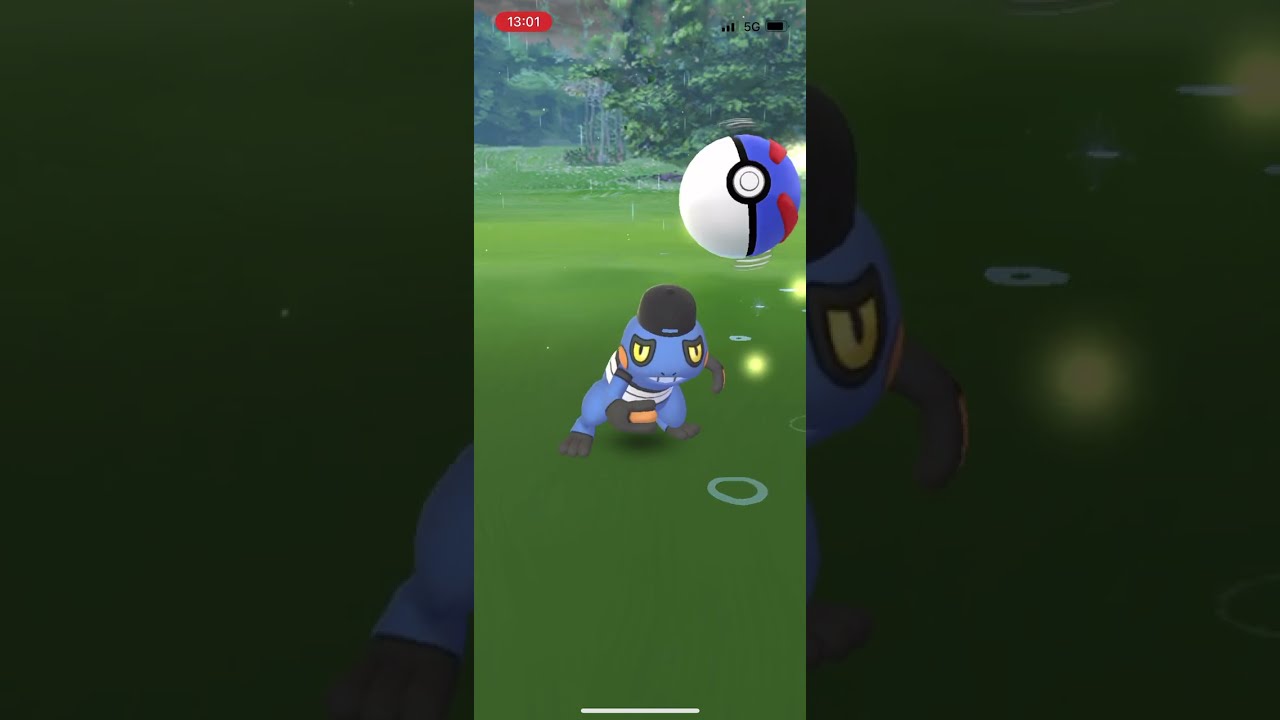 ポケモンgo 野生のグレッグル(帽子をかぶった)