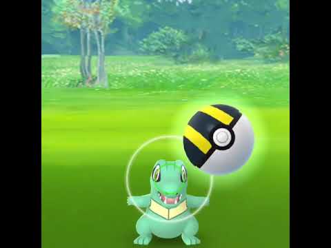 コミュニティデイで色違いワニノコゲット