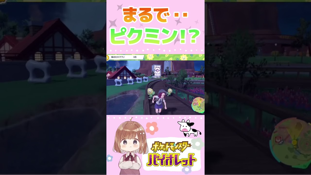 ついてくるキマワリが可愛くてたまらない😄🌻【ポケモンSV】