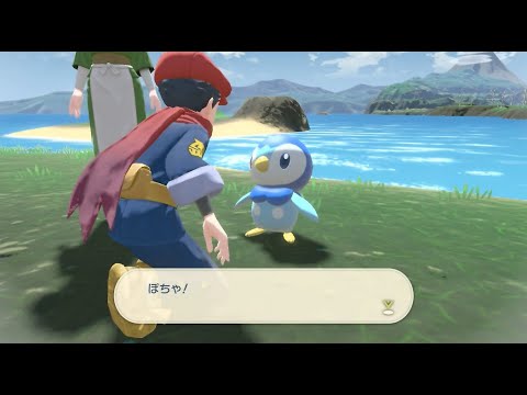 食べる姿カワイイ！サブ任務55「はらへりポッチャマ」ムービー【Pokémon LEGENDS アルセウス】