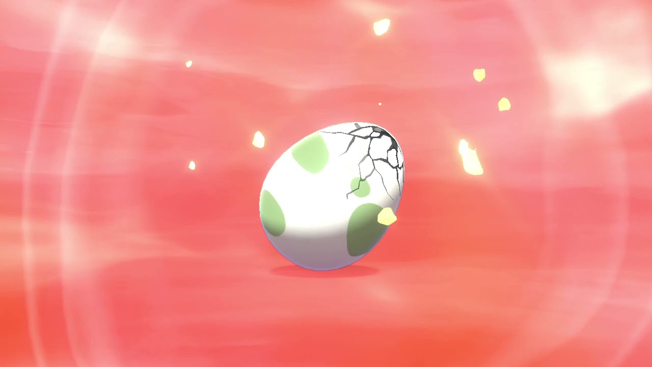 ヒポポタス 色違い