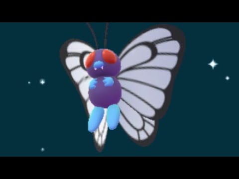 ポケモンGO  バタフリー