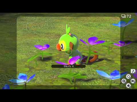 【Newポケモンスナップ】サルノリ星3ダイヤ撮影方法