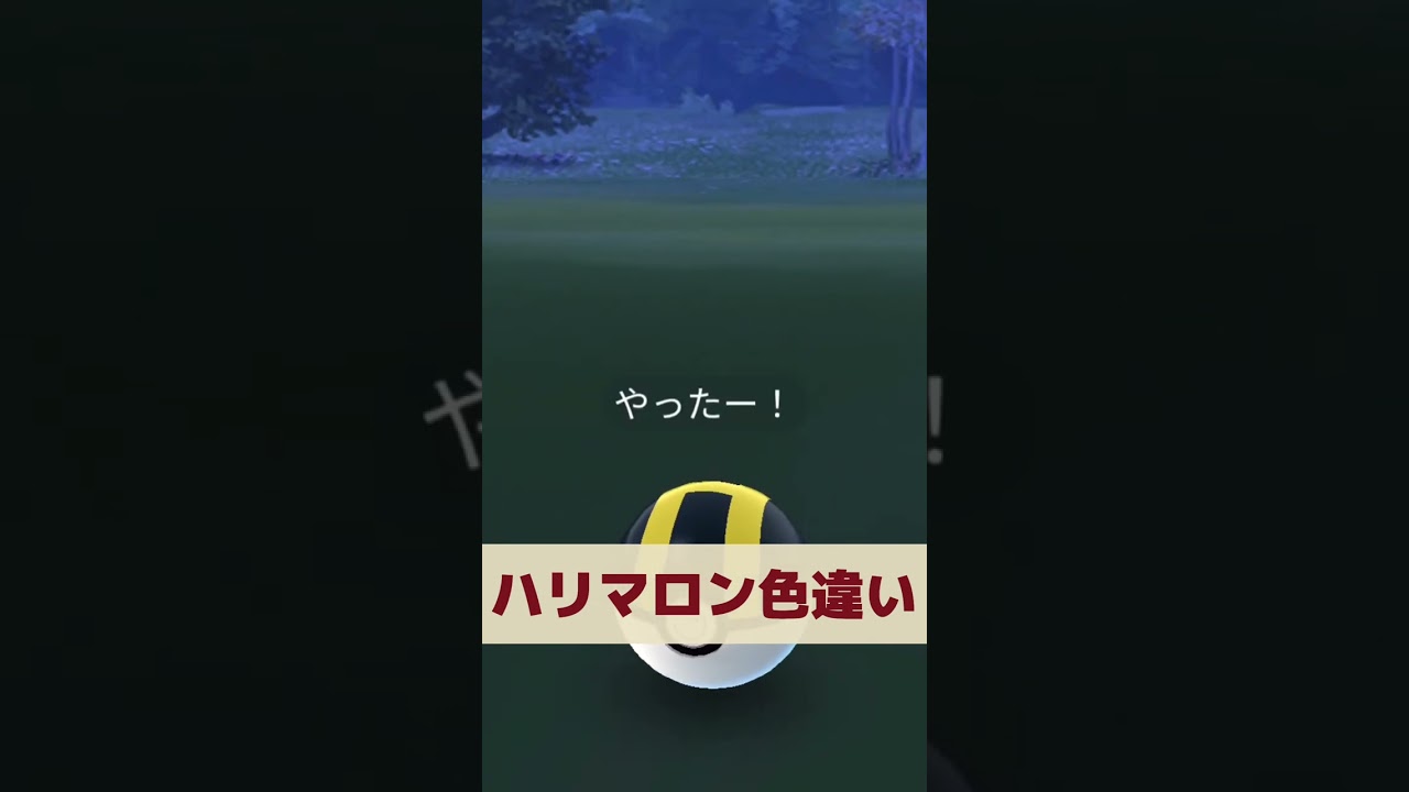 【ポケモンGO】ハリマロン　色違い　ゲット　かわいい♡