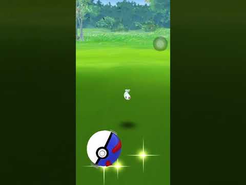 でんきいしのほらあなで見つけた時の嬉しさ　シビシラス　ポケモンGO