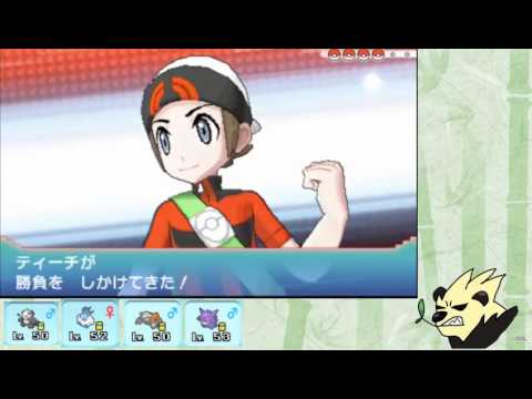 【ポケモンORAS】ゴロンダを活躍させたい part05