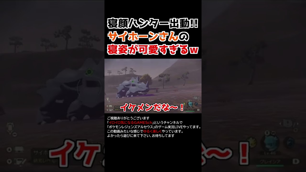 サイホーンさんの「寝姿」が可愛すぎるww【Pokémon LEGENDS アルセウス】【寝顔ハンター】