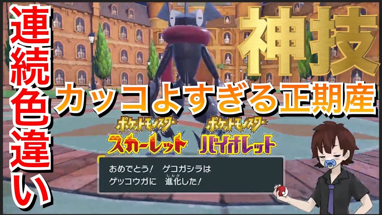 【神回】まさかの2匹連続色ケロマツが出たwwwwwww【ポケモンSV】