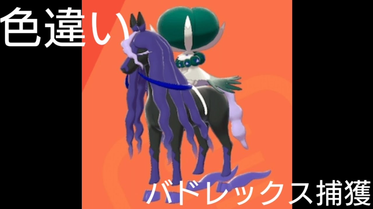 ポケットモンスター剣盾 バドレックス 色違い出現