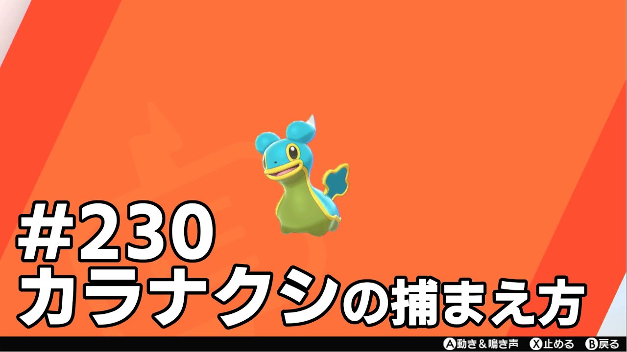 カラナクシを探している方に見てほしい動画