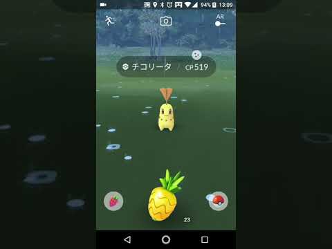 【ポケモンGO】9/22 チコリータ 色違い＠コミュデイ