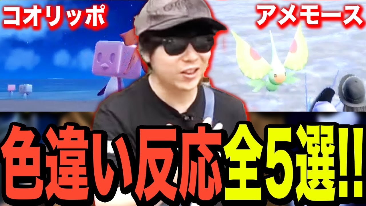 【もこう切り抜き】パルデアの色違い厳選中に起きた超大事故!! もこう色違い反応3選!!【ポケモンSV もこう もこう切り抜き もこうの切り抜き狩り講座 もこう先生】