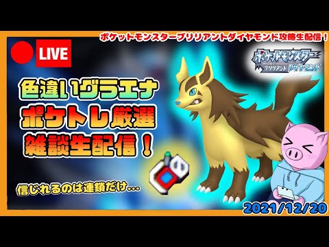【ポケモンBDSP】ケンディーの色違いグラエナを狙うポケトレ厳選雑談生配信！