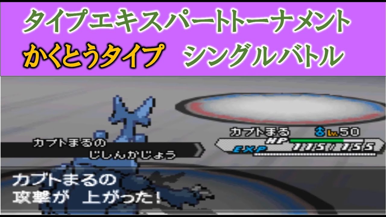 【ポケモンBW2】  PWTタイプエキスパートトーナメント  ヘラクロス大活躍!  　かくとうタイプ　シングルバトル編