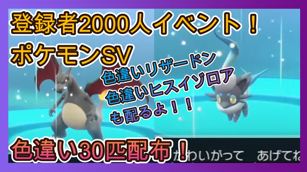 【ポケモンSV】色違い30体配布　色ヒスイゾロア、色リザードンも最後に！【2000人イベント】