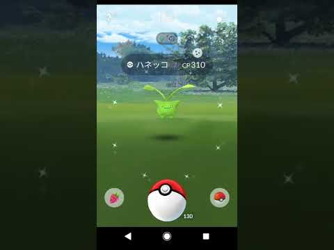 【ポケモンGO】ハネッコの色違い早速ゲット