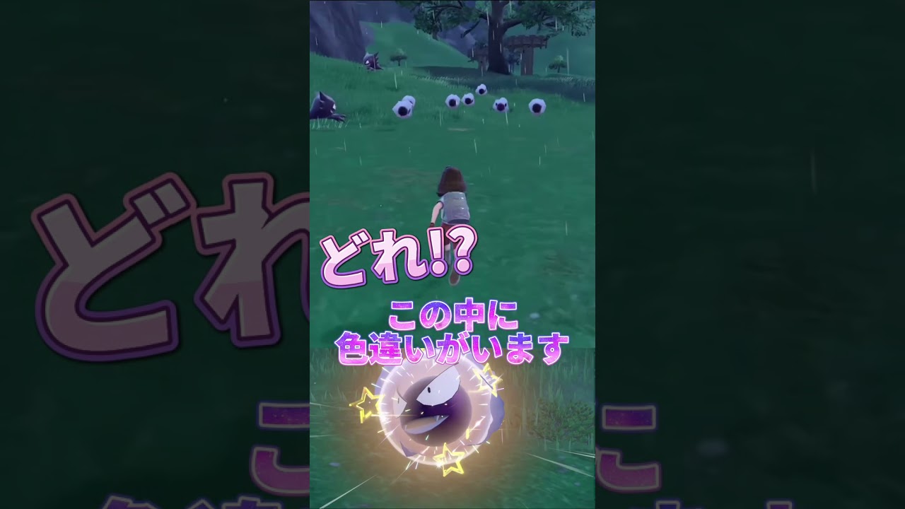 この中に色違いゴースがいます。どれでしょう？【ポケモンSV】#shorts