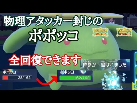 物理アタッカー達が絶望するポポッコがヤバすぎた【ポケモンSV】