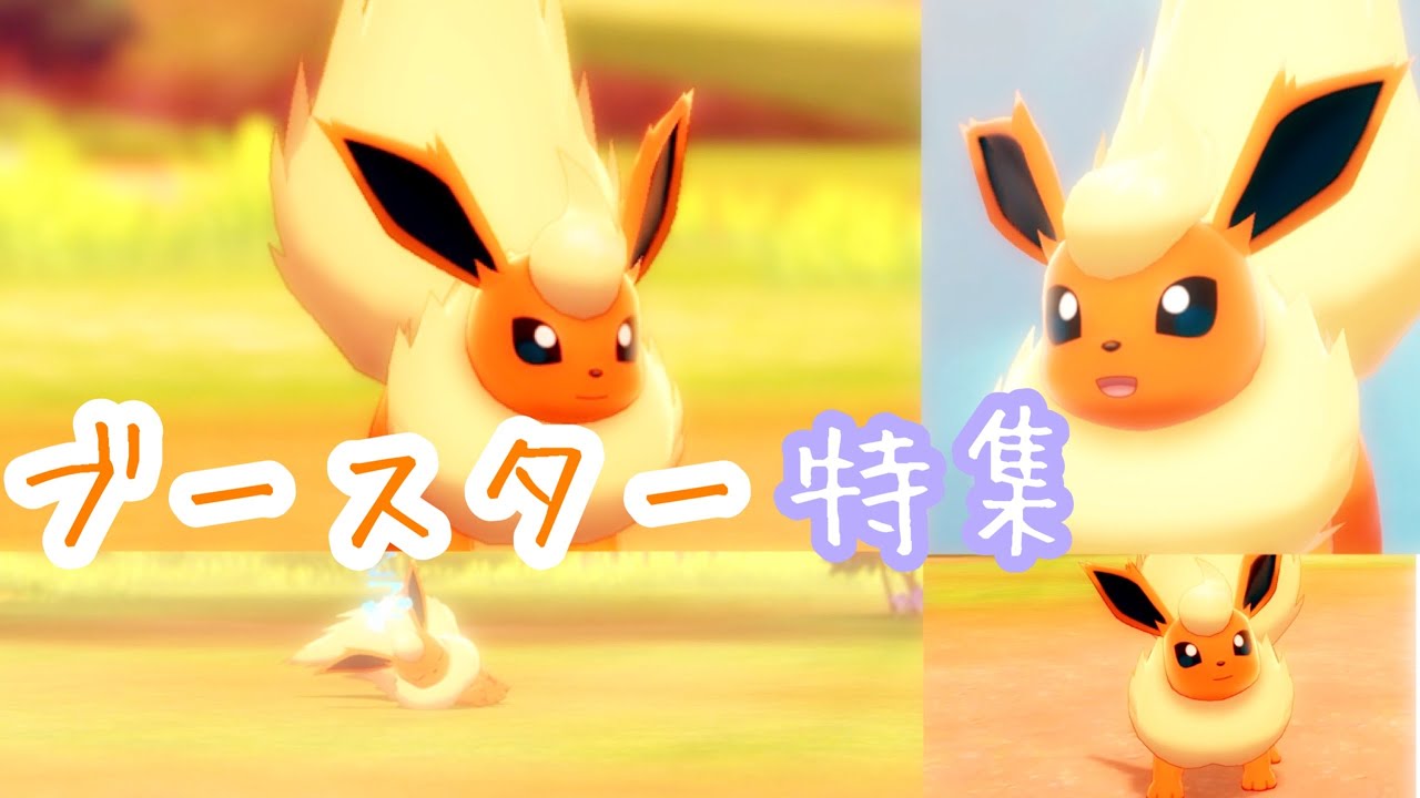 【ポケモンキャンプ#16】可愛い &カッコいいブースター特集♡