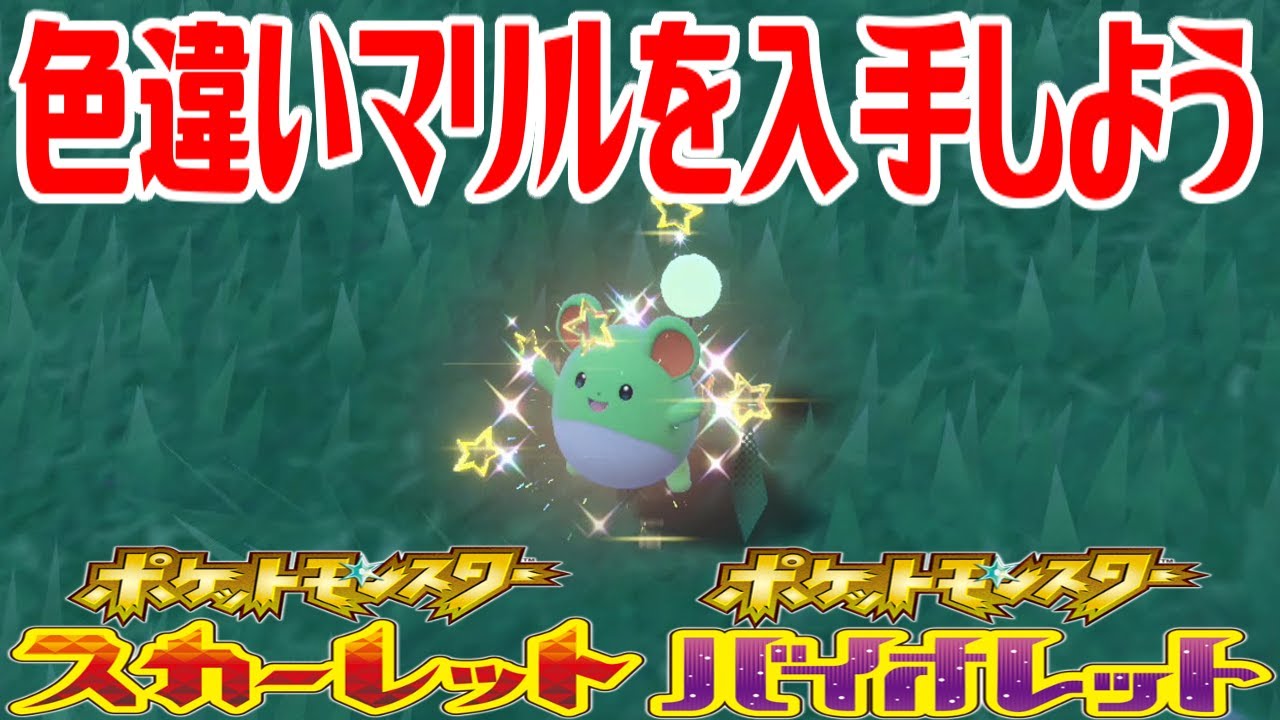 【ポケモンSV】色違いマリルを入手しよう【ポケットモンスター スカーレット・バイオレット】Pocket Monsters