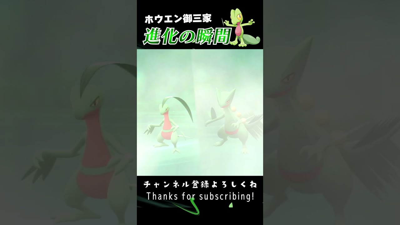 【BDSP】ホウエン御三家 進化の瞬間 #shorts 【キモリ編】