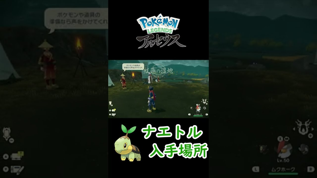 ポケモンアルセウス　ナエトル入手場所！！　#shorts
