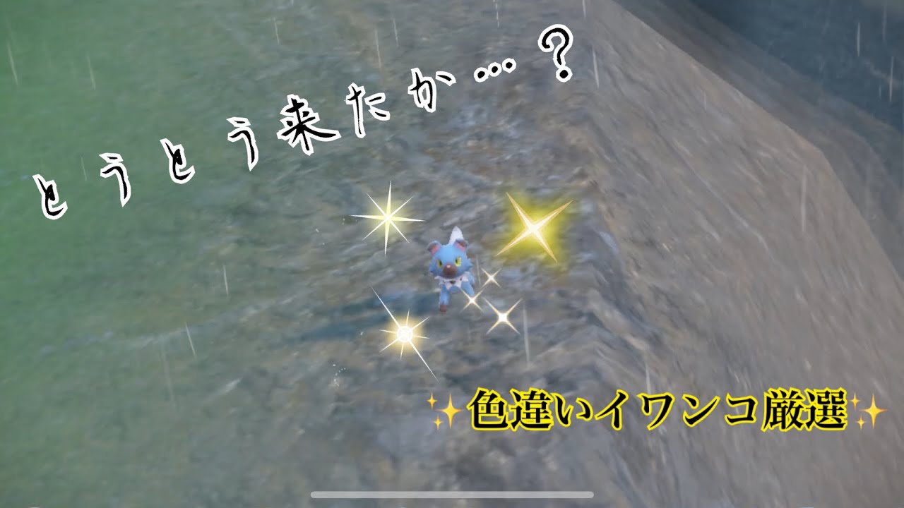 このイワンコもしかして…【ポケモンSV】