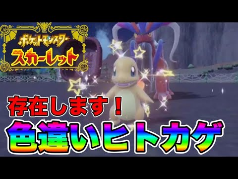 ヒトカゲの色違いは存在しました！　【ポケモンSV】