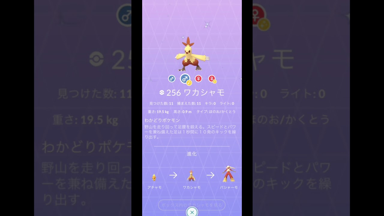 アチャモからの〜(アチャモ色違いひよこに近づく！)【色違い】ダイパ