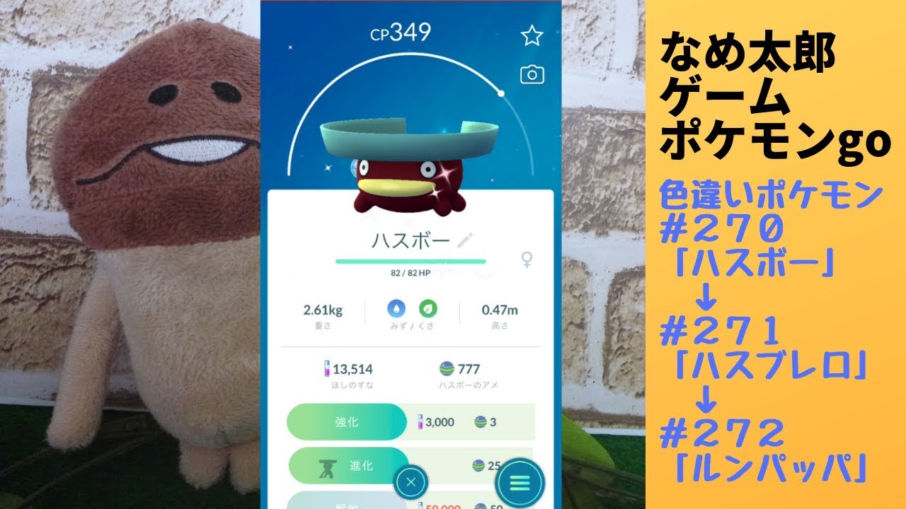 【縦画面スマホ向け】なめ太郎の色違いゲット＃270「ハスボー」ゲット→＃２７１「ハスブレロ」→＃２７２「ルンパッパ」へ進化する動画【ポケモンgo】