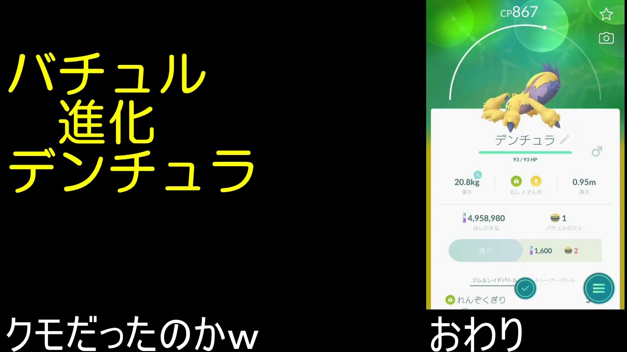 バチュル進化デンチュラ【ポケモンGO】