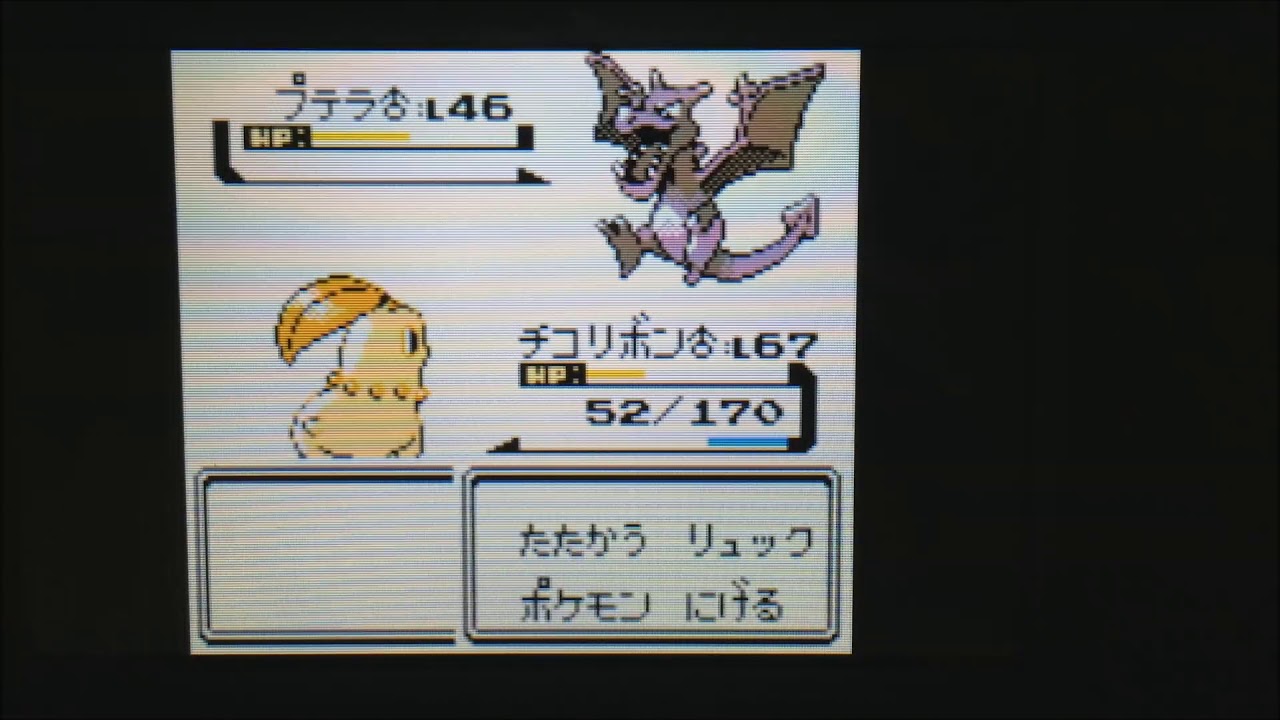 色チコリータ1匹の旅～033チャンピオン ワタル戦～【ポケモン金VC】