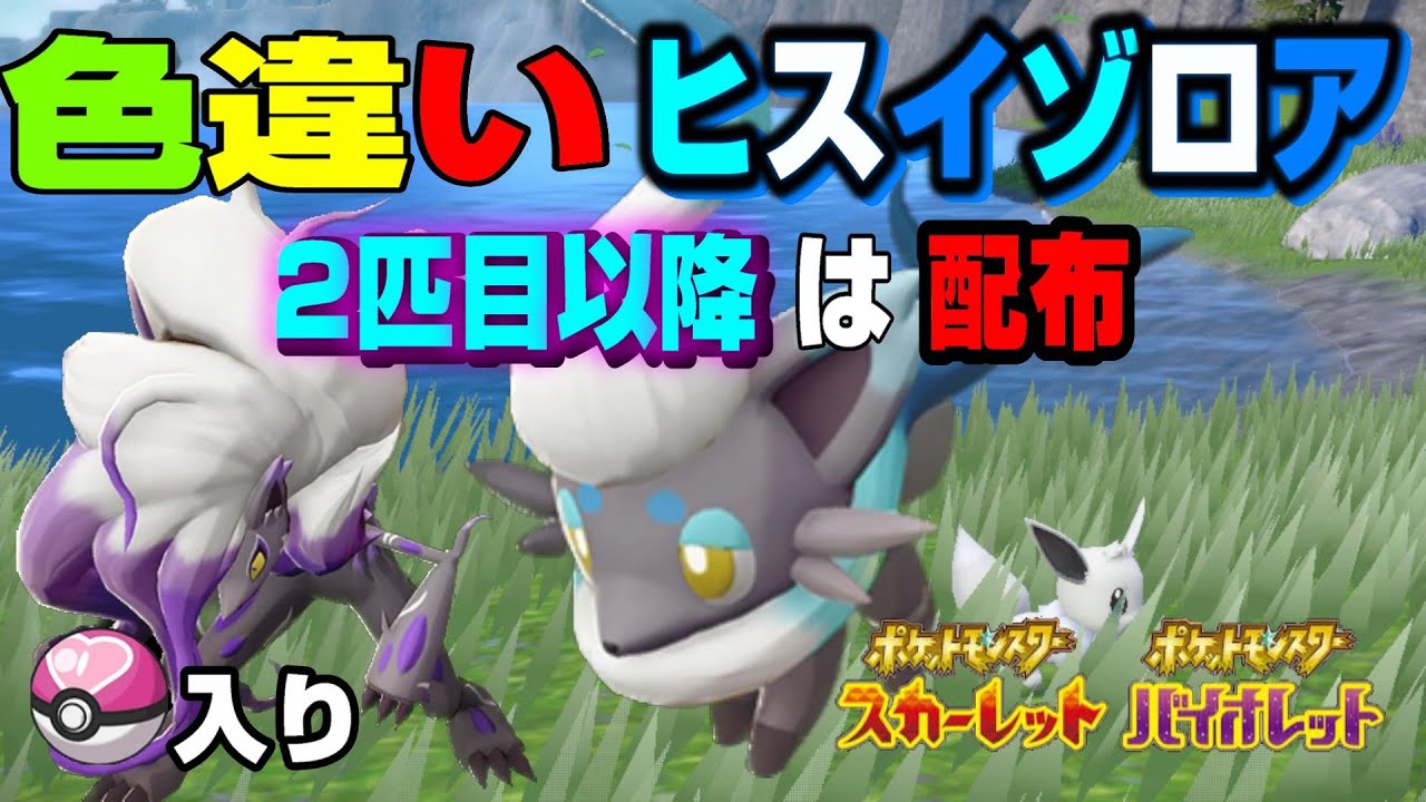【ポケモンSV】 どこかで色ゾロア出てます